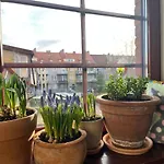 Stara Kamienica