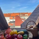 Stara Kamienica * Szczytno (Warmian-Masurian)