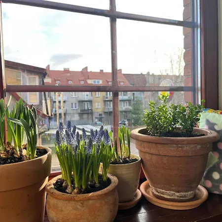 Stara Kamienica