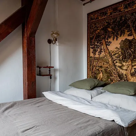 Stara Kamienica Apartamento *