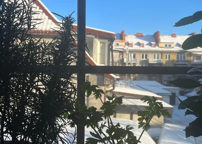 Stara Kamienica Apartman *