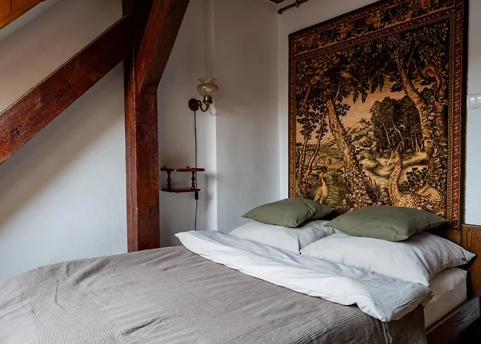 Stara Kamienica דירה *